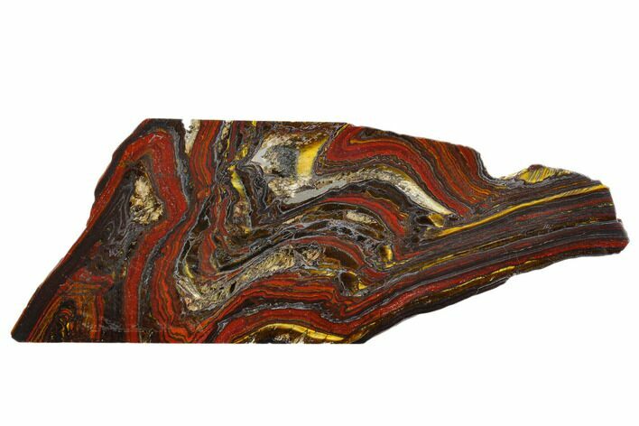 Polished Tiger Iron Stromatolite - Billion Years #129205